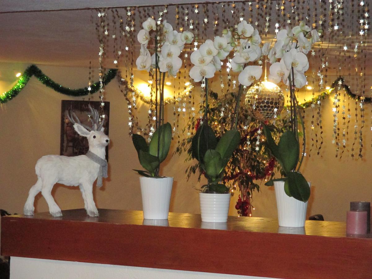 Hotel L'Adrech De Lagas Valberg Ngoại thất bức ảnh